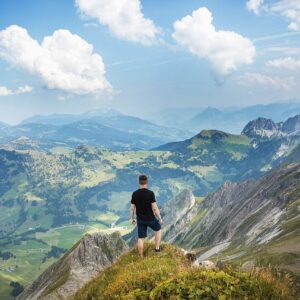 Mountain View Panorama